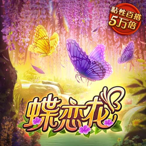 金年会app